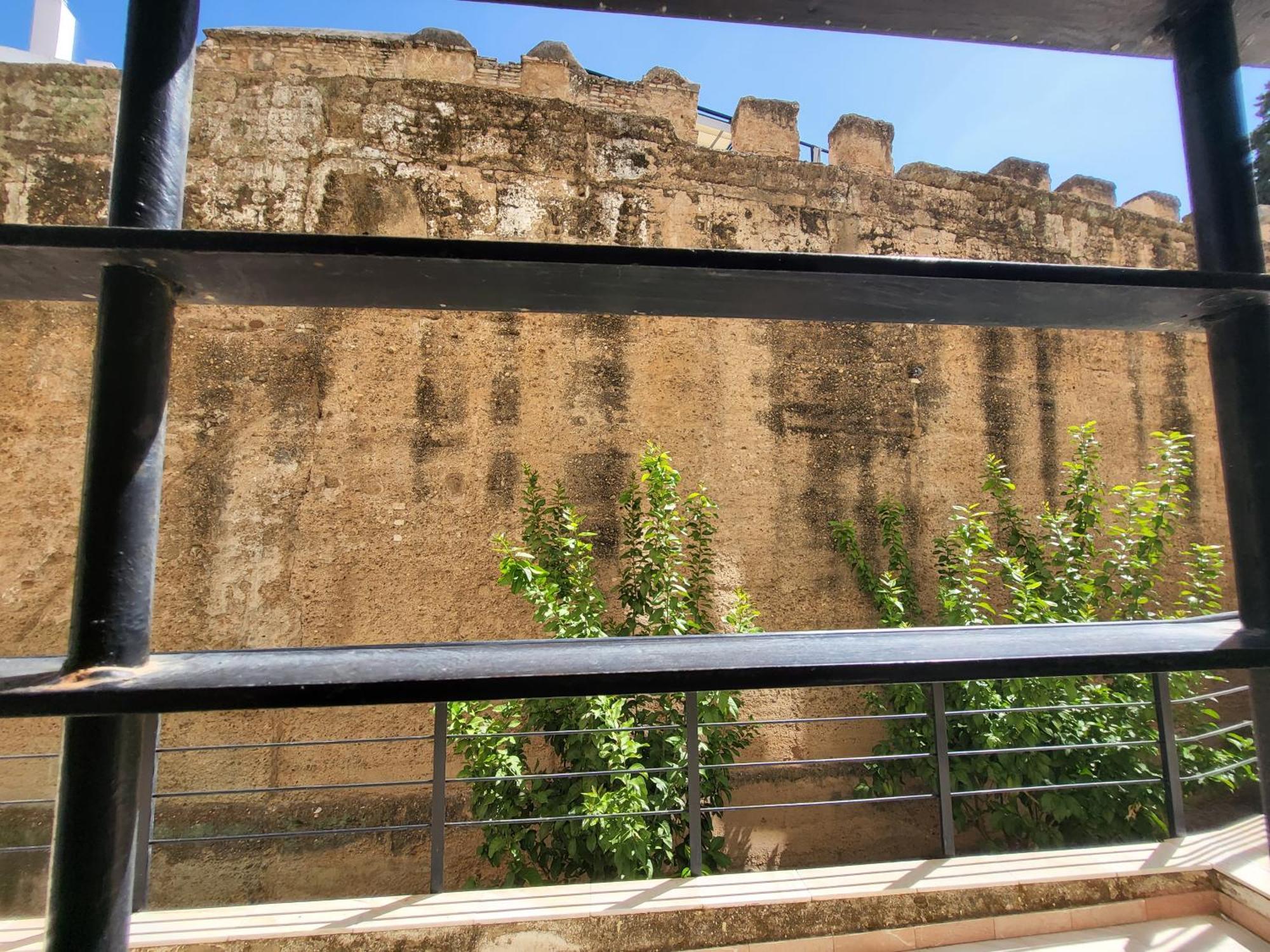 Rentalsevilla Sol Zewnętrze zdjęcie